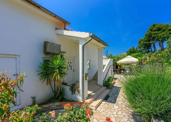 Apartment Iva